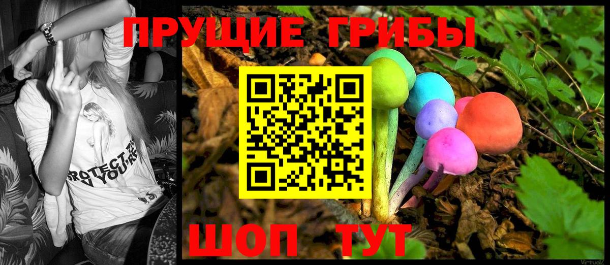 Галлюциногенные грибы Magic Shrooms Зима