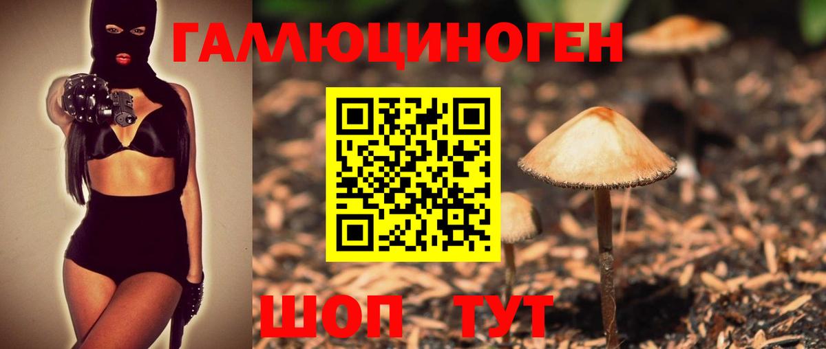 Зима  где купить   Вход с VPN  Галлюциногенные грибы MAGIC MUSHROOMS 